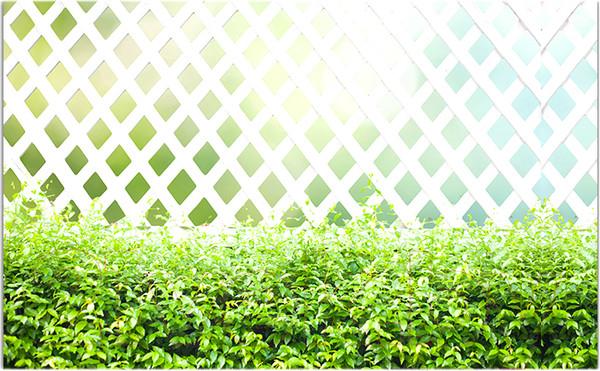 Изображение товара Фотофасад Arthata Плетенье / FotoSetka-250-80 (250x156)