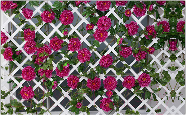 Изображение товара Фотофасад Arthata Плетенье / FotoSetka-250-81 (250x156)