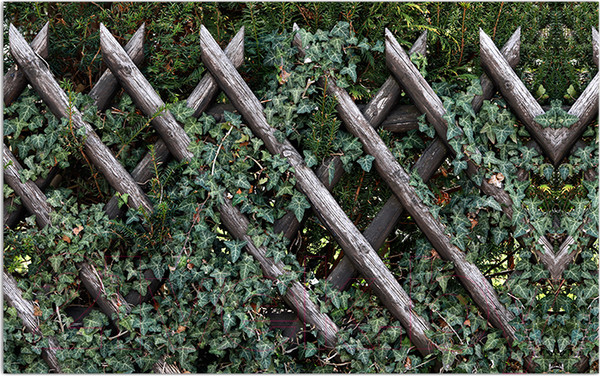 Изображение товара Фотофасад Arthata Плетенье / FotoSetka-250-83 (250x156)