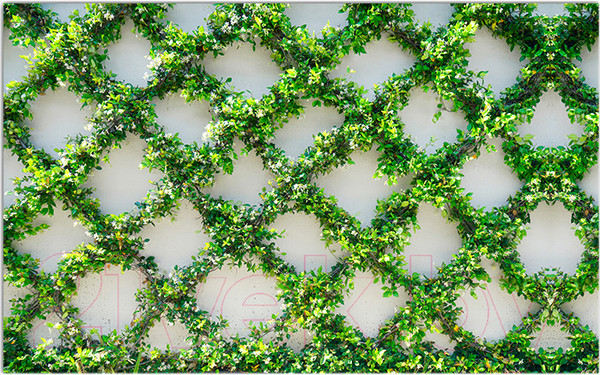 Изображение товара Фотофасад Arthata Плющ / FotoSetka-250-84 (250x156)