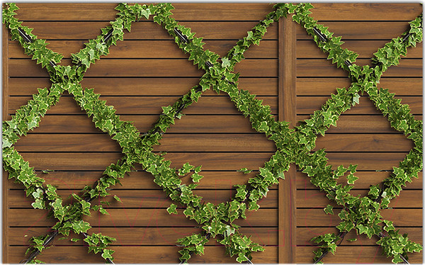 Изображение товара Фотофасад Arthata Плющ / FotoSetka-250-85 (250x156)