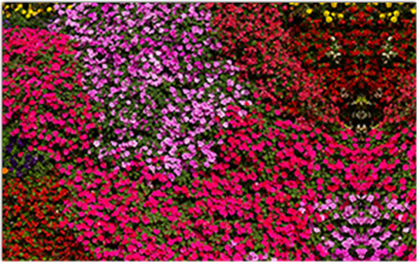 Изображение товара Фотофасад Arthata Цветы / FotoSetka-250-51 (250x156)