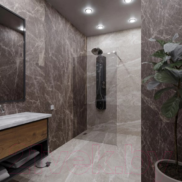 Изображение товара Душевая стенка Radomir Walk-in G1 110x200 / 1-10-0-0-0-1901 (матовое стекло)