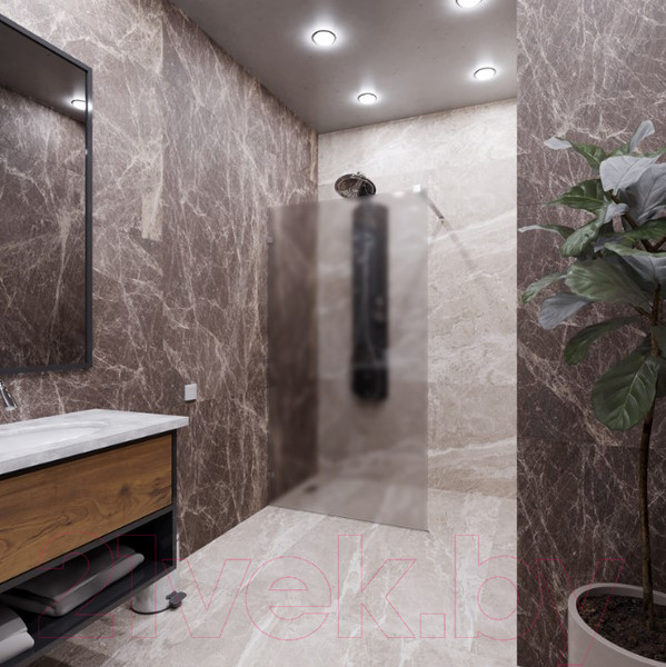 Изображение товара Душевая стенка Radomir Walk-in G1 120x200 / 1-10-0-0-0-1911 (матовое стекло)