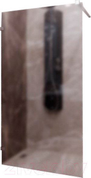 Изображение товара Душевая стенка Radomir Walk-in G1 120x200 / 1-10-0-0-0-1911 (матовое стекло)