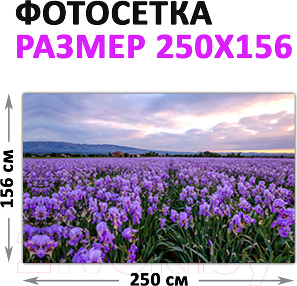 Изображение товара Фотофасад Arthata Лаванда / FotoSetka-250-38 (250x156)