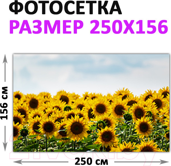 Изображение товара Фотофасад Arthata Подсолнух / FotoSetka-250-39 (250x156)