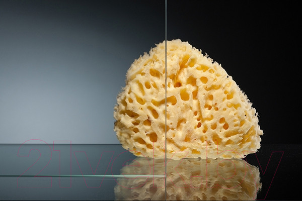 Изображение товара Душевой уголок Radomir Диана / 1-09-1-0-0-0140 (прозрачное стекло/белый)