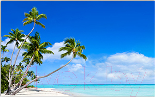 Изображение товара Фотофасад Arthata Пляж, пальмы, море / FotoSetka-250-111 (250x156)