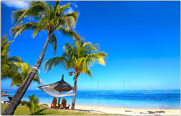 Изображение товара Фотофасад Arthata Пляж, пальмы, море / FotoSetka-250-112 (250x156)