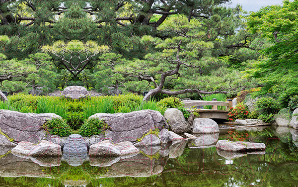 Изображение товара Фотофасад Arthata Пруд / FotoSetka-250-109 (250x156)