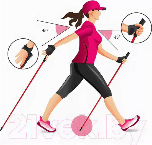 Изображение товара Палки для скандинавской ходьбы Gold Cup 35ST (синий)