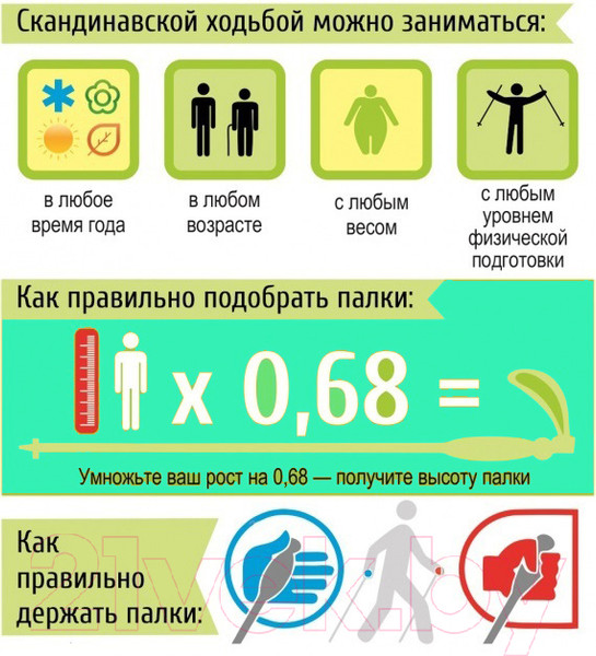 Изображение товара Палки для скандинавской ходьбы Gold Cup 35ST (синий)