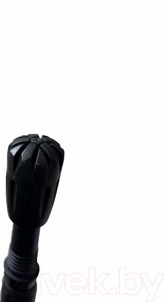 Изображение товара Палки для скандинавской ходьбы Gold Cup 35ST (синий)