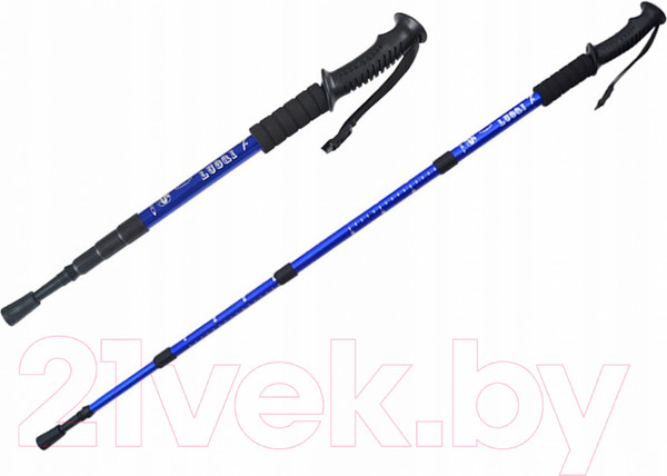 Изображение товара Палки для скандинавской ходьбы Gold Cup 35ST (синий)