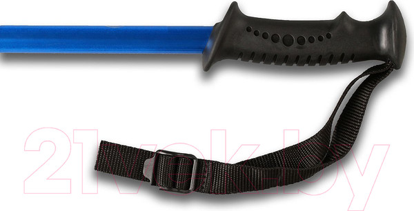 Изображение товара Палки для скандинавской ходьбы Gold Cup 35ST (синий)