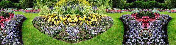 Изображение товара Фотофасад Arthata Цветы / FotoSetka-600-102 (600x156)