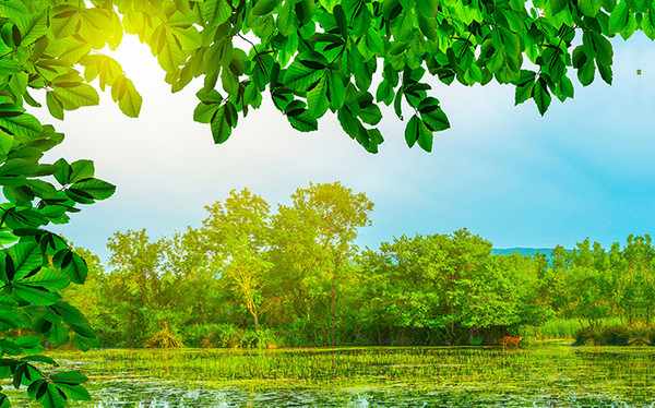 Изображение товара Фотофасад Arthata Пейзаж / FotoSetka-250-110 (250x156)