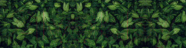 Изображение товара Фотофасад Arthata Листья / FotoSetka-600-10 (600x156)