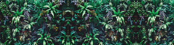 Изображение товара Фотофасад Arthata Листья / FotoSetka-600-11 (600x156)