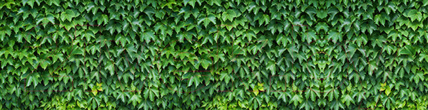 Изображение товара Фотофасад Arthata Кусты / FotoSetka-600-12 (600x156)