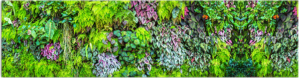 Изображение товара Фотофасад Arthata Листья / FotoSetka-600-13 (600x156)