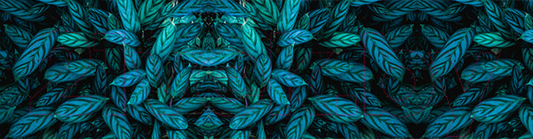 Изображение товара Фотофасад Arthata Листья / FotoSetka-600-14 (600x156)