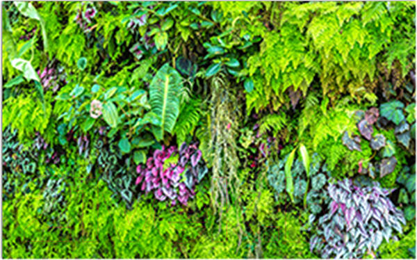 Изображение товара Фотофасад Arthata Листья / FotoSetka-250-13 (250x156)