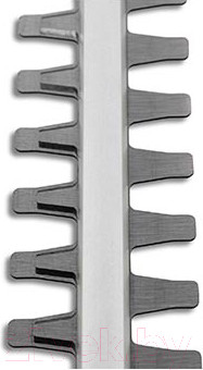 Изображение товара Кусторез аккумуляторный Champion HTB400