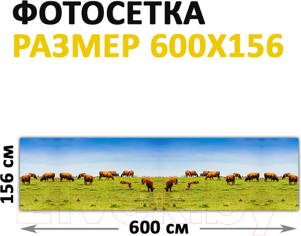 Изображение товара Фотофасад Arthata Поле / FotoSetka-600-21 (600x156)