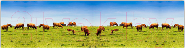 Изображение товара Фотофасад Arthata Поле / FotoSetka-600-21 (600x156)