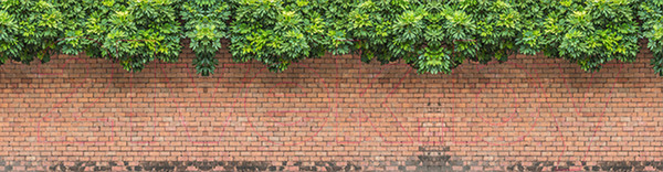 Изображение товара Фотофасад Arthata Виноград / FotoSetka-600-27 (600x156)