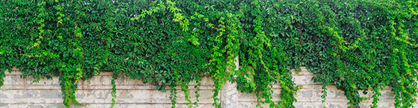 Изображение товара Фотофасад Arthata FotoSetka-600-29 (600x156)