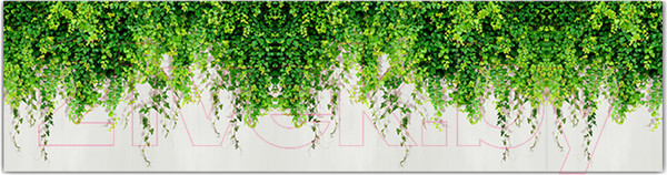 Изображение товара Фотофасад Arthata Плющ / FotoSetka-600-30 (600x156)