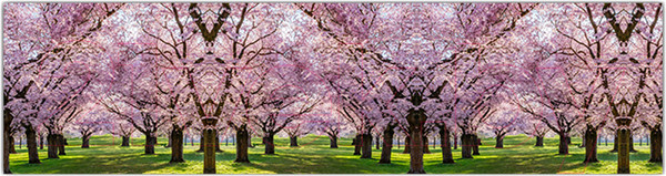 Изображение товара Фотофасад Arthata Сакура / FotoSetka-600-33 (600x156)