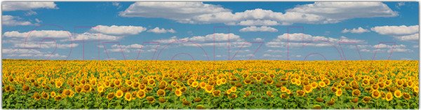 Изображение товара Фотофасад Arthata Небо / FotoSetka-600-37 (600x156)