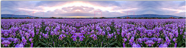 Изображение товара Фотофасад Arthata Лаванда / FotoSetka-600-38 (600x156)