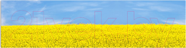 Изображение товара Фотофасад Arthata Луг / FotoSetka-600-41 (600x156)