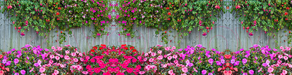 Изображение товара Фотофасад Arthata Живой забор / FotoSetka-600-42 (600x156)