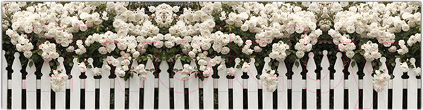 Изображение товара Фотофасад Arthata Розы / FotoSetka-600-46 (600x156)