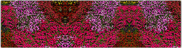 Изображение товара Фотофасад Arthata Цветы / FotoSetka-600-51 (600x156)