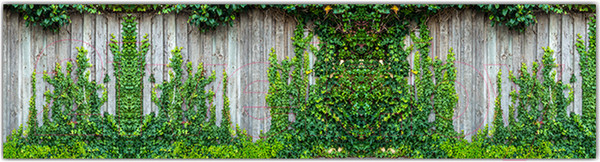 Изображение товара Фотофасад Arthata Плющ / FotoSetka-600-56 (600x156)