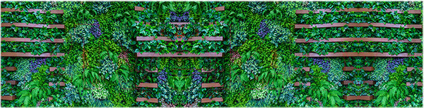 Изображение товара Фотофасад Arthata Листья / FotoSetka-600-67 (600x156)