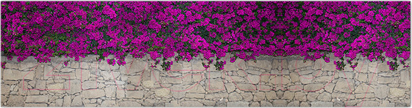 Изображение товара Фотофасад Arthata Цветы / FotoSetka-600-68 (600x156)