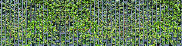 Изображение товара Фотофасад Arthata Зелень / FotoSetka-600-72 (600x156)