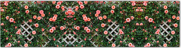 Изображение товара Фотофасад Arthata Цветы / FotoSetka-600-77 (600x156)