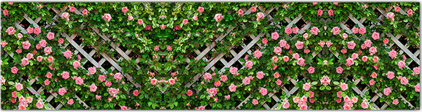 Изображение товара Фотофасад Arthata Розы / FotoSetka-600-78 (600x156)