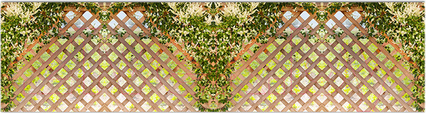 Изображение товара Фотофасад Arthata Плетенье / FotoSetka-600-79 (600x156)