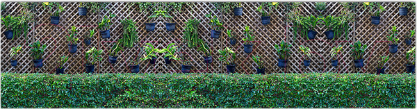 Изображение товара Фотофасад Arthata Кусты / FotoSetka-600-82 (600x156)