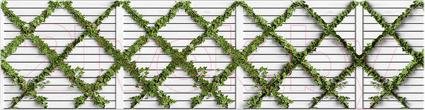 Изображение товара Фотофасад Arthata Плющ / FotoSetka-600-86 (600x156)